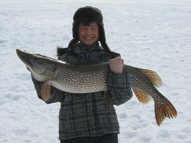 Avery's Tobin Pike